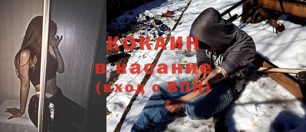 мет Алексин
