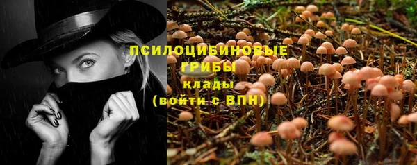 ПСИЛОЦИБИНОВЫЕ ГРИБЫ Пересвет