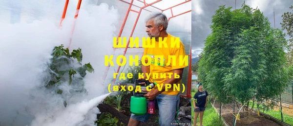 мет Алексин