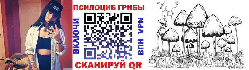 купить наркотик  darknet как зайти  Галлюциногенные грибы мухоморы  Родники 