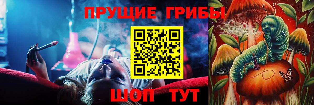 Галлюциногенные грибы Psilocybe Родники