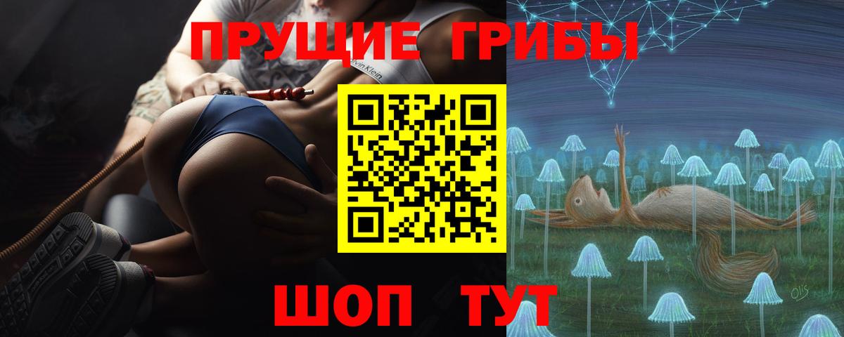 Родники  Псилоцибиновые грибы GOLDEN TEACHER  Вход с VPN 